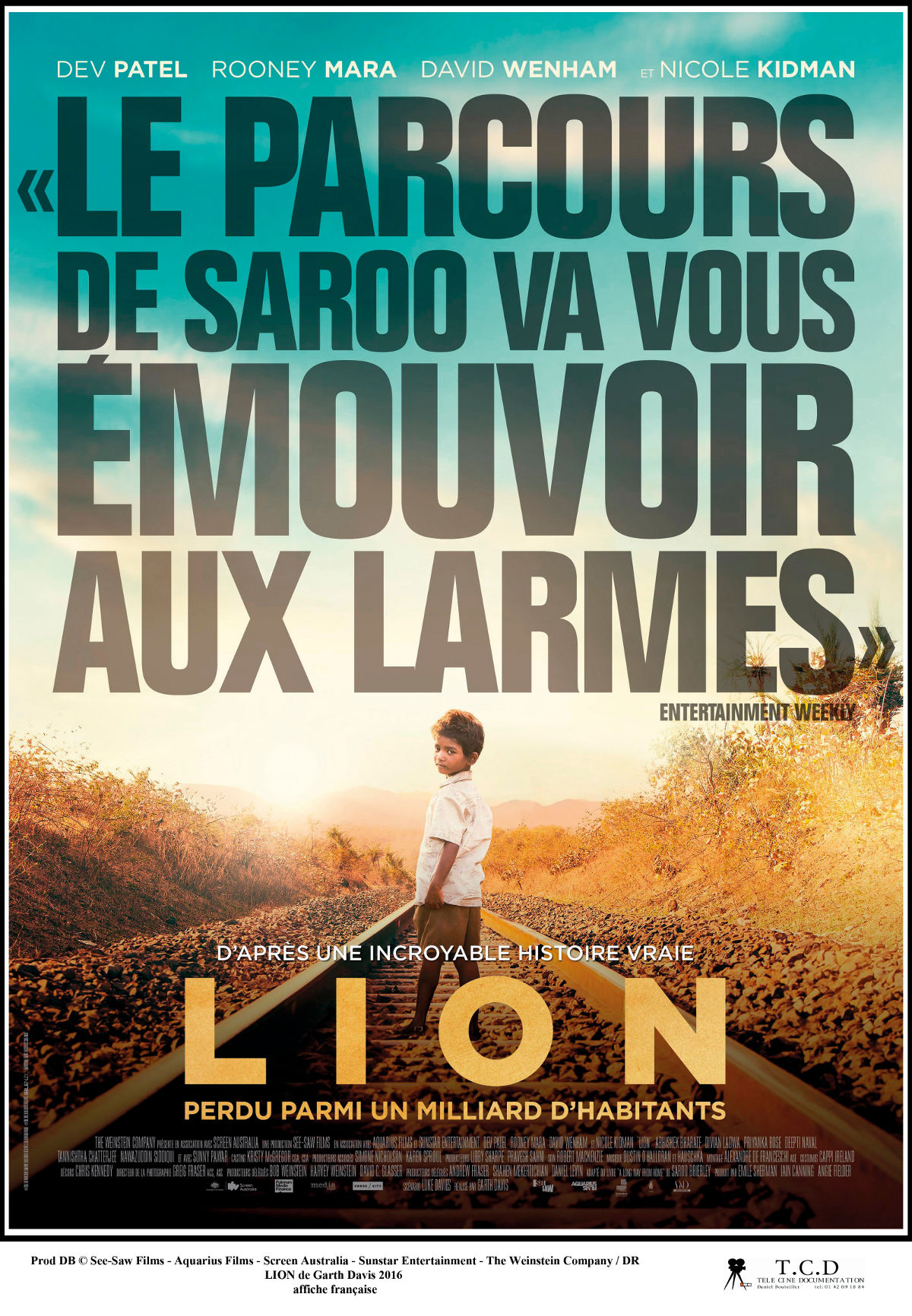 Affiche Lion